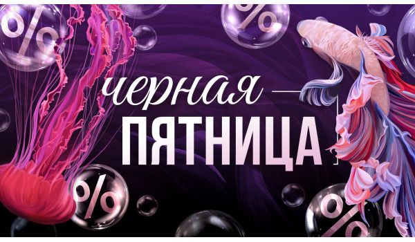 Чёрная пятница