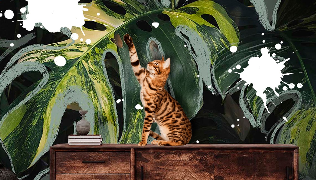 Чего боятся дизайнерские обои