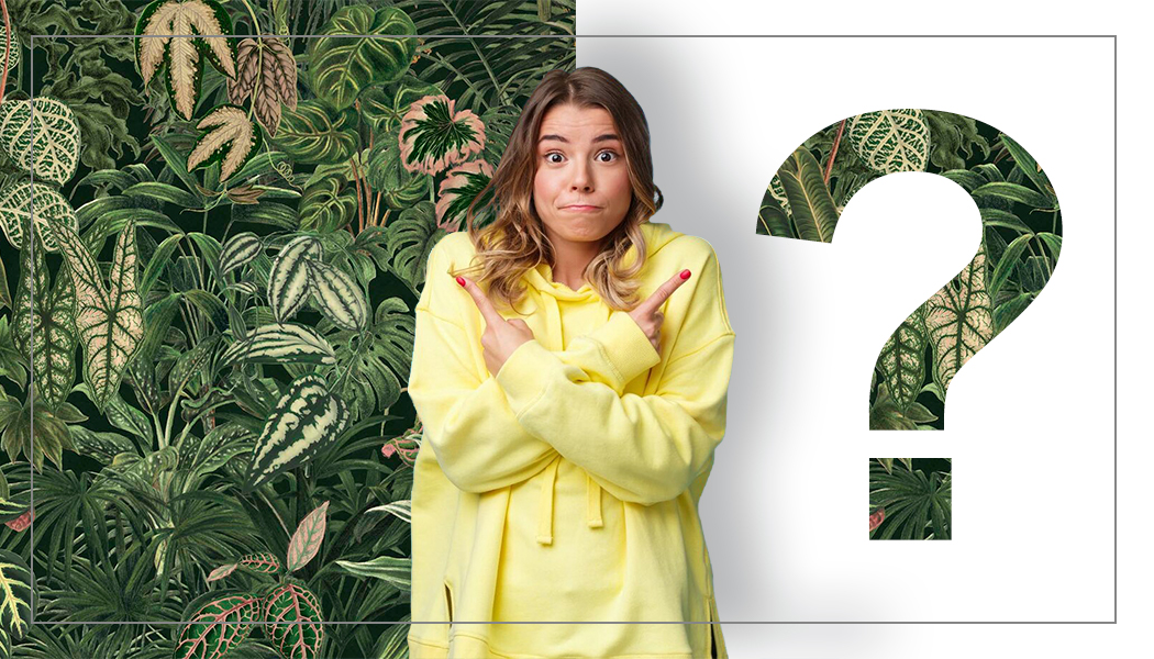 Стоит ли заказывать обои заранее?