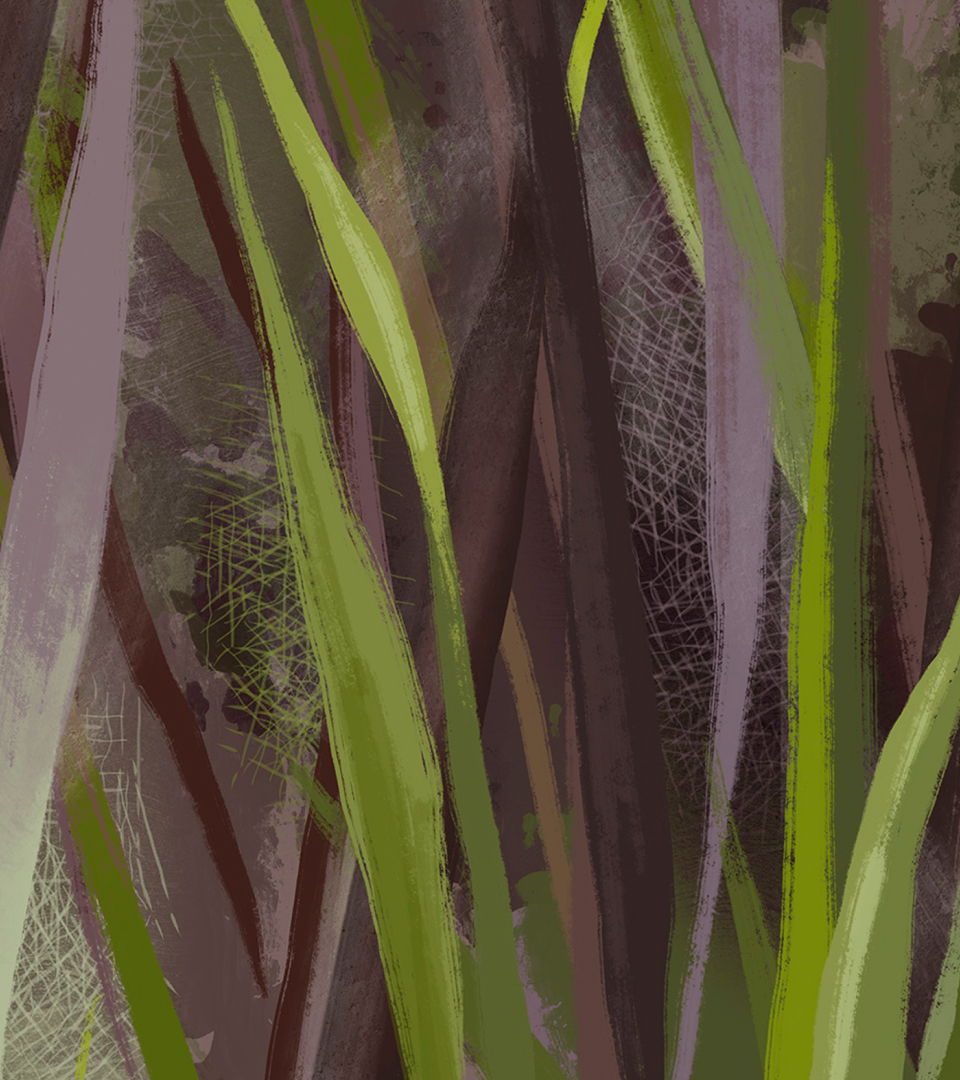 ОБОИ Дизайнерские обои Narva купить по цене от 3000 руб