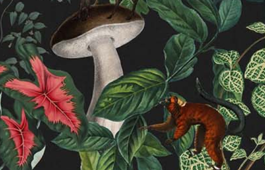 Керамическая плитка Керамическая плитка 60x30см