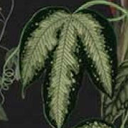 Керамическая плитка Керамическая плитка 20х20см